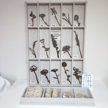 Afbeelding in Gallery-weergave laden, Display PET-vilt Geboortebloemen | Wholesale | Geboortebloemen Joeff
