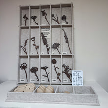 Afbeelding in Gallery-weergave laden, Display PET-vilt groot + klein | Complete Set | Wholesale | Geboortebloemen Joeff
