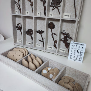 Display PET-vilt groot + klein | Complete Set | Wholesale | Geboortebloemen Joeff