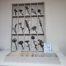 Afbeelding in Gallery-weergave laden, Display PET-vilt Geboortebloemen | Wholesale | Geboortebloemen Joeff
