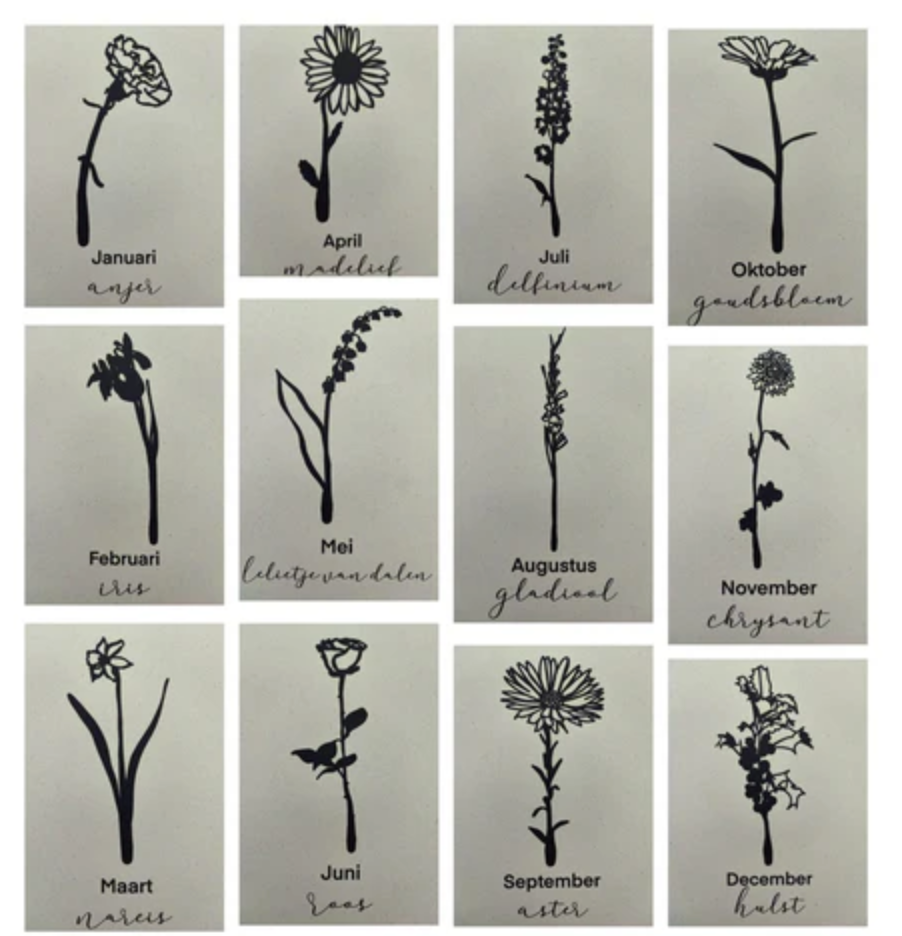 Levensbloem kaarten - zwart/wit | Joeff