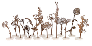 Levensbloemen | Joeff