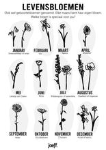 Afbeelding in Gallery-weergave laden, Levensbloemen | Joeff
