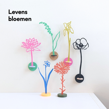 Afbeelding in Gallery-weergave laden, Levensbloemen (bloem+houder) | Joeff
