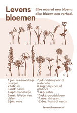 Afbeelding in Gallery-weergave laden, NIEUW - Levensbloemen - KLEUR (bloem+houder) | Joeff
