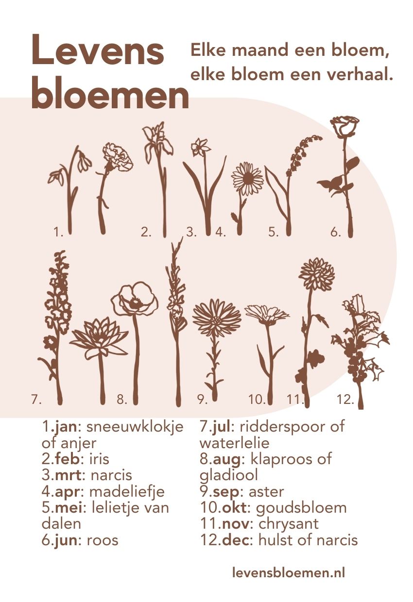 NIEUW - Levensbloemen - KLEUR (bloem+houder) | Joeff