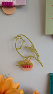 Colección de arte de aves y peces - MUUSS