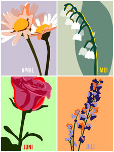Levensbloem kaarten hele set (15 stuks)- kleur | Joeff