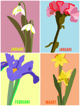 Afbeelding in Gallery-weergave laden, Levensbloem kaarten hele set (15 stuks)- kleur | Joeff
