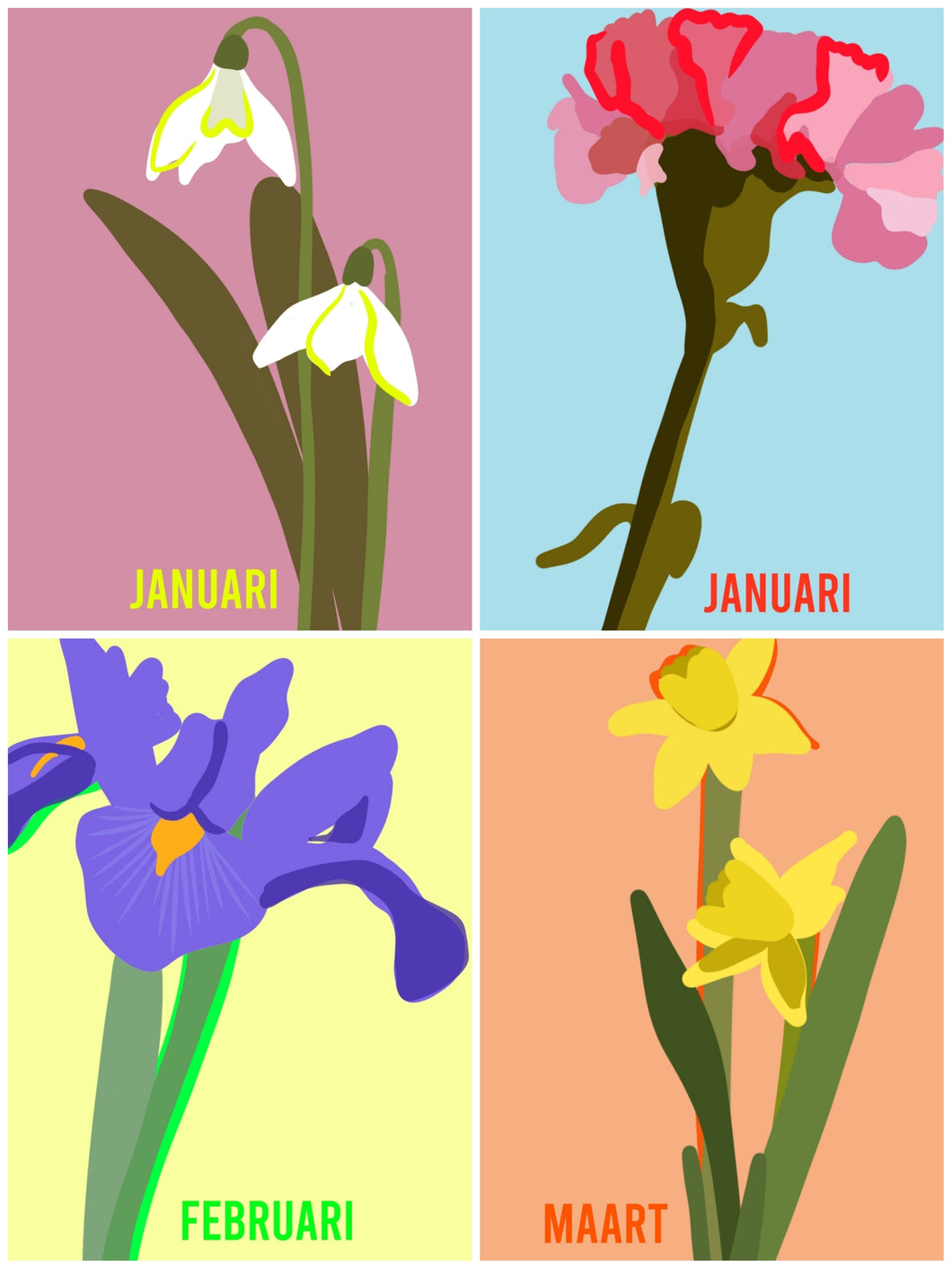 Levensbloem kaarten hele set (15 stuks)- kleur | Joeff