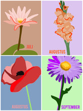 Afbeelding in Gallery-weergave laden, Levensbloem kaarten hele set (15 stuks)- kleur | Joeff
