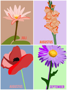 Levensbloem kaarten hele set (15 stuks)- kleur | Joeff