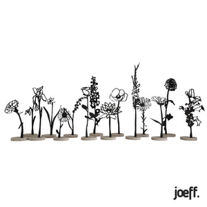 Levensbloemen | Joeff