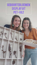 Video laden en afspelen in Gallery-weergave, Display PET-vilt groot + klein | Complete Set | Wholesale | Geboortebloemen Joeff
